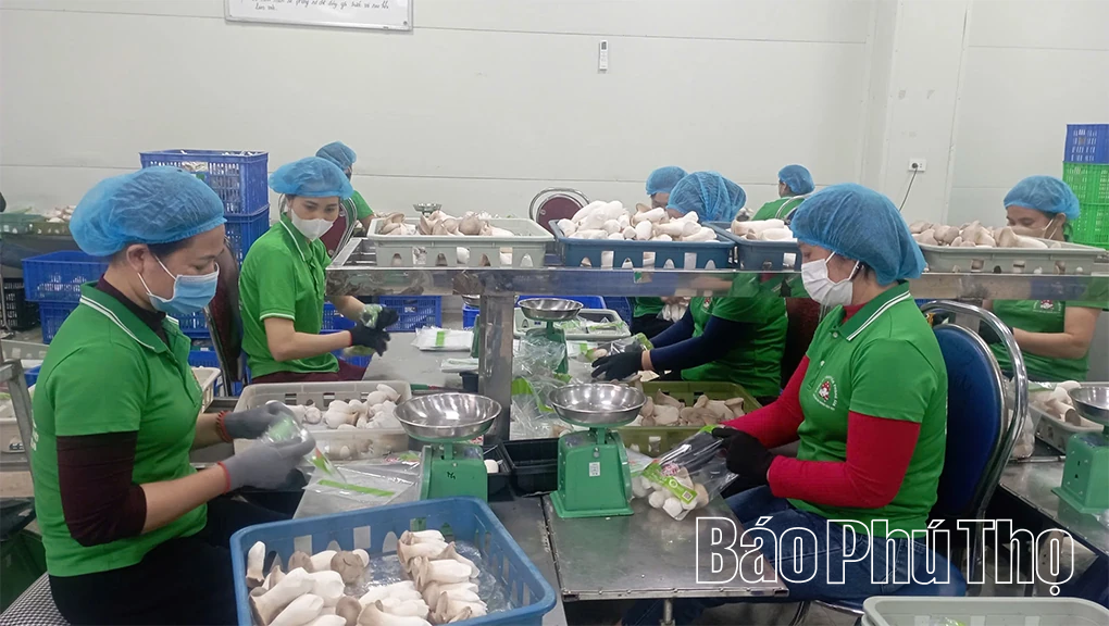 Tăng tốc sản xuất, kinh doanh những ngày cận Tết