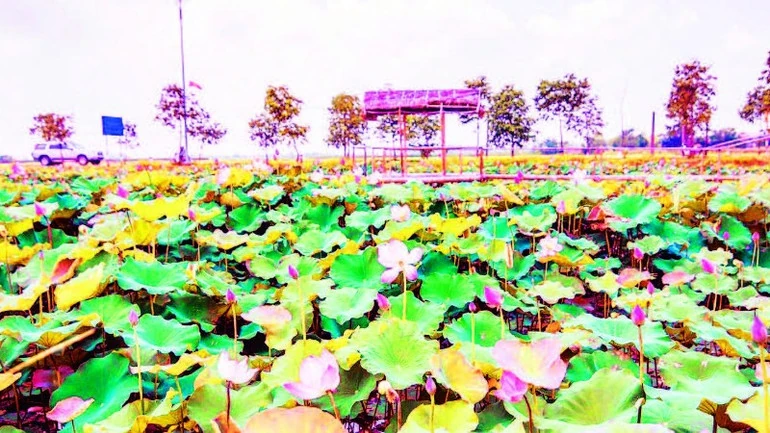 Hành trình về cội nguồn và khát vọng vươn lên