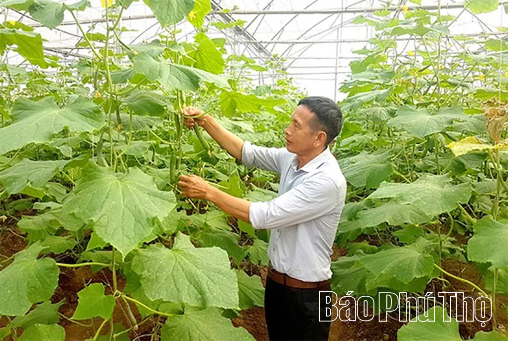 Lựa chọn thực phẩm an toàn cho ngày Tết