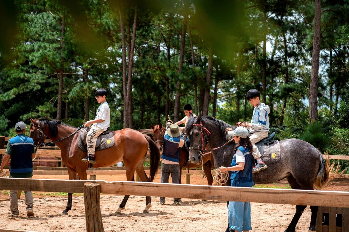 Lên Măng Đen nghe tiếng vó ngựa giữa đại ngàn