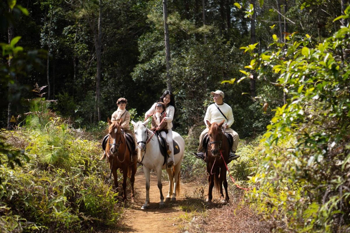 Lên Măng Đen nghe tiếng vó ngựa giữa đại ngàn