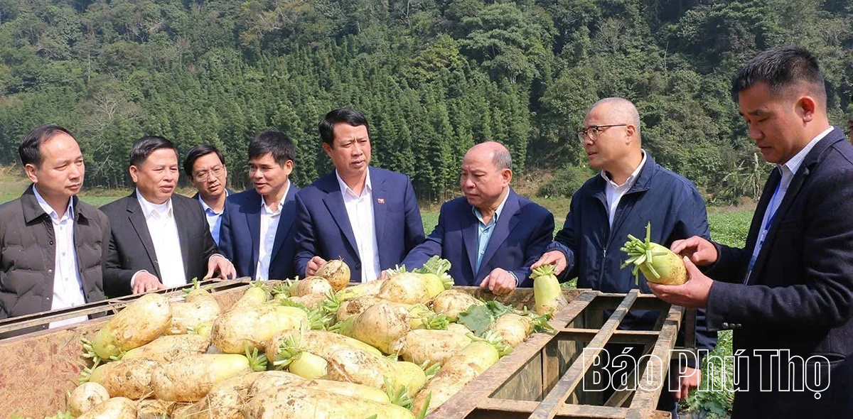 Khơi dậy tinh thần tự chủ, tự cường - Quyết tâm thực hiện thắng lợi các nghị quyết Đại hội Đảng các cấp
