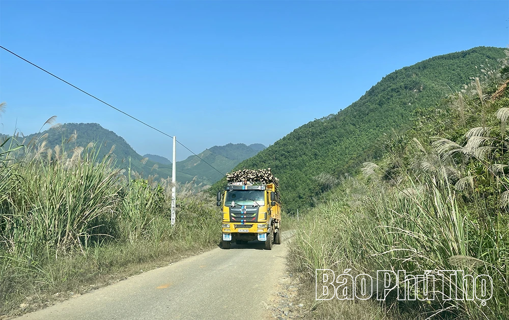 Tết sớm ở bản Dao