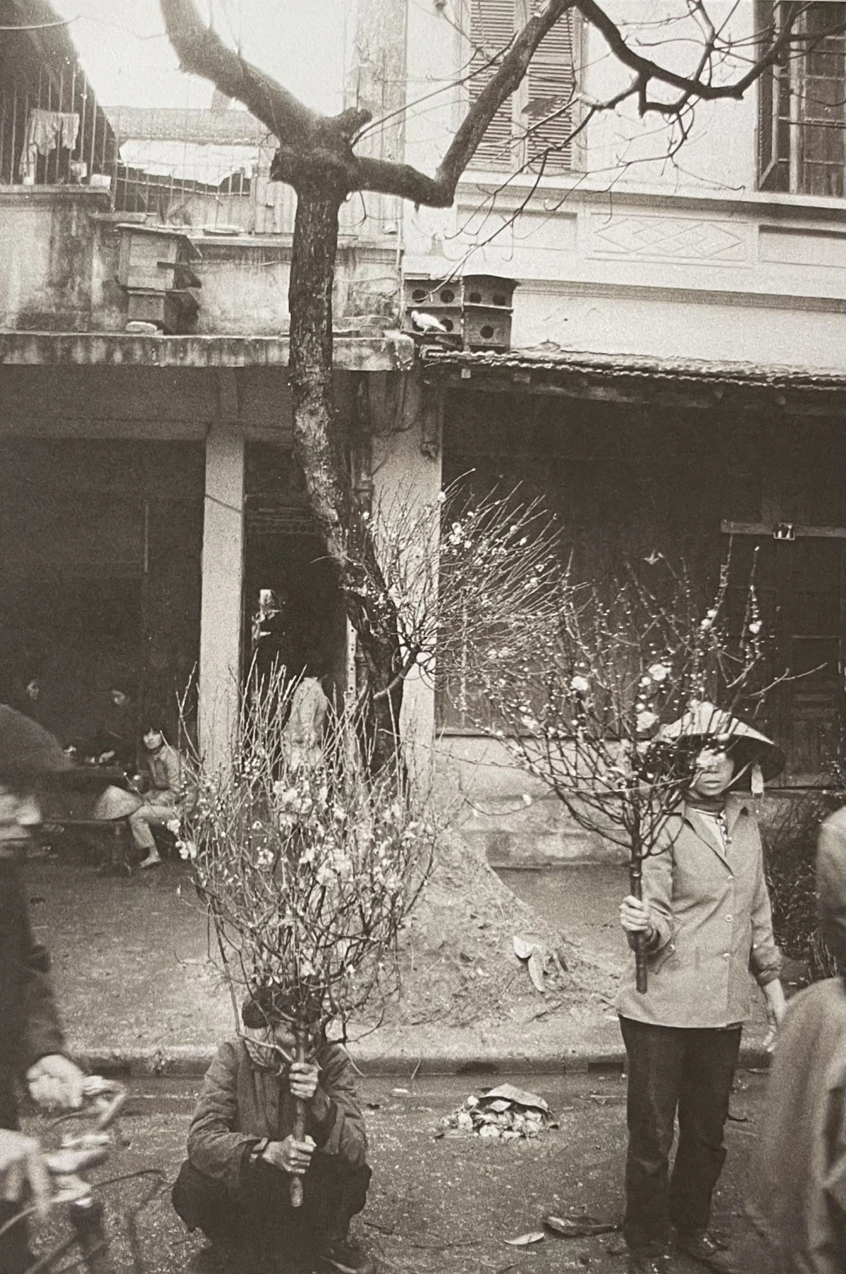 Chợ hoa Tết ở Hà Nội thập niên 1980