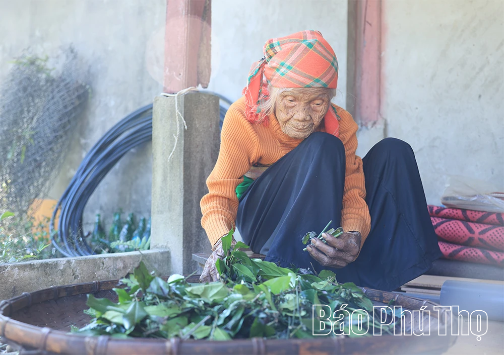 Đón Xuân ở “thung lũng trường thọ”