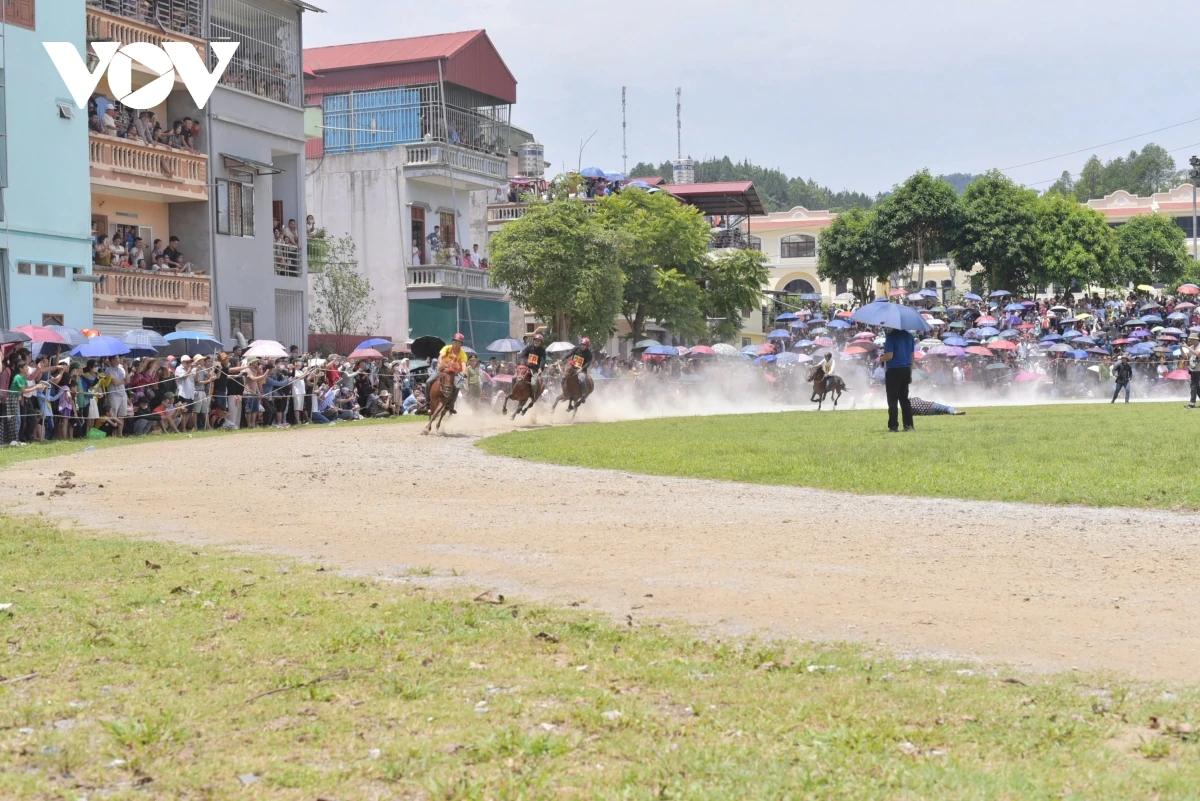 Đến Bắc Hà nghe chuyện vó ngựa trên cao nguyên trắng