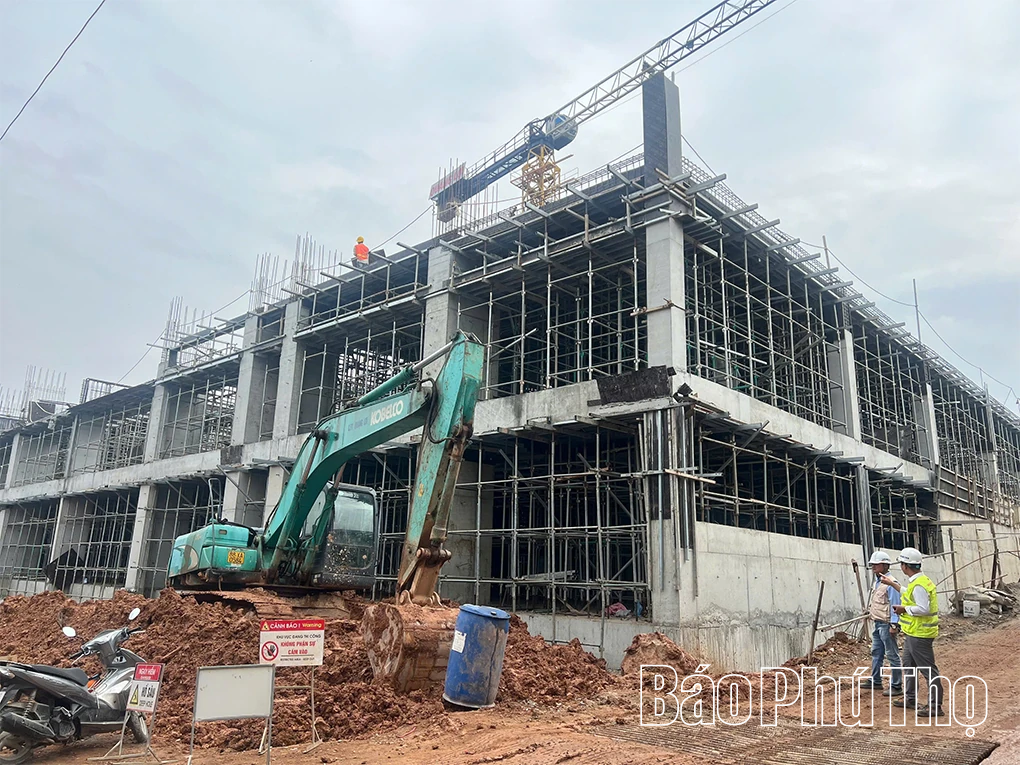 An cư - khởi đầu của mùa Xuân mới