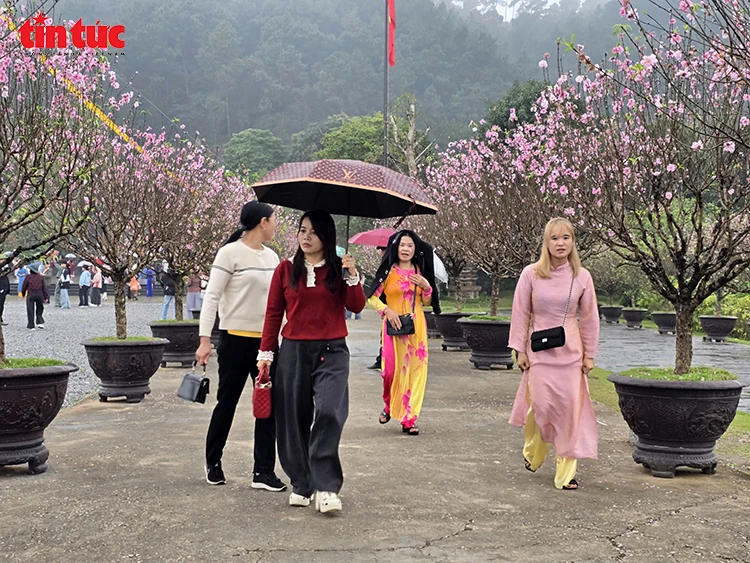 Thời tiết ngày 20/2 (mùng 4 Tết): Bắc Bộ đêm và sáng rét, Nam Bộ nắng nóng cục bộ