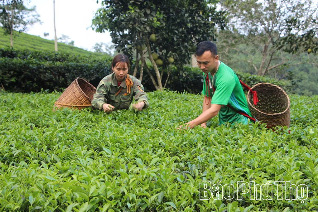 Khai thác lợi thế nông sản đặc trưng