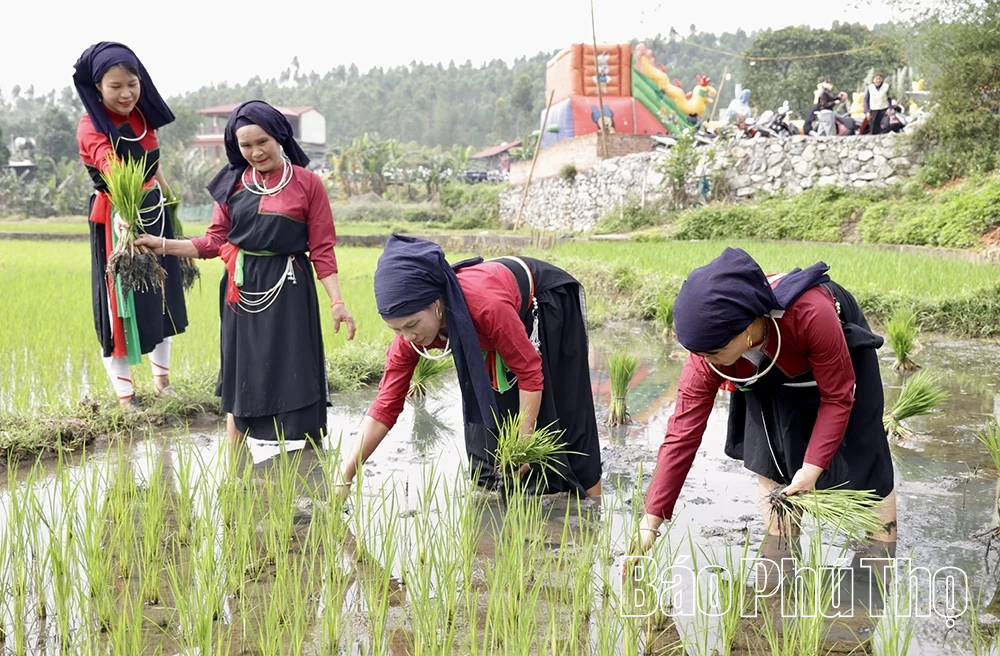 Đặc sắc lễ hội Xuống đồng của đồng bào Cao Lan ở Yên Lãng