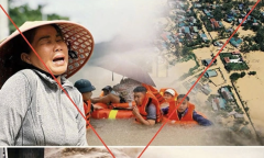 Dùng AI để tạo, phát tán tin giả có thể bị phạt 100 triệu đồng