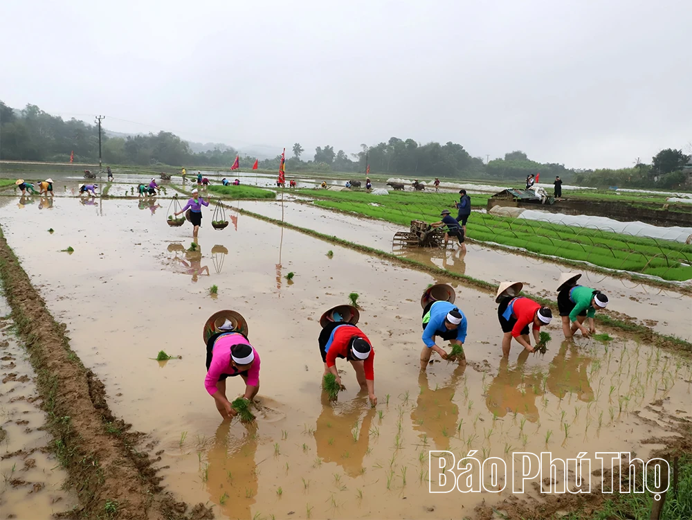 Lễ hội Khai hạ dân tộc Mường: Mở mùa, mở hội, mở không gian kết nối