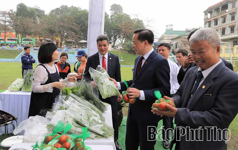 Lễ hội Hoa - Sinh vật cảnh Supe Lâm Thao lần thứ 2 Xuân Bính Ngọ 2026