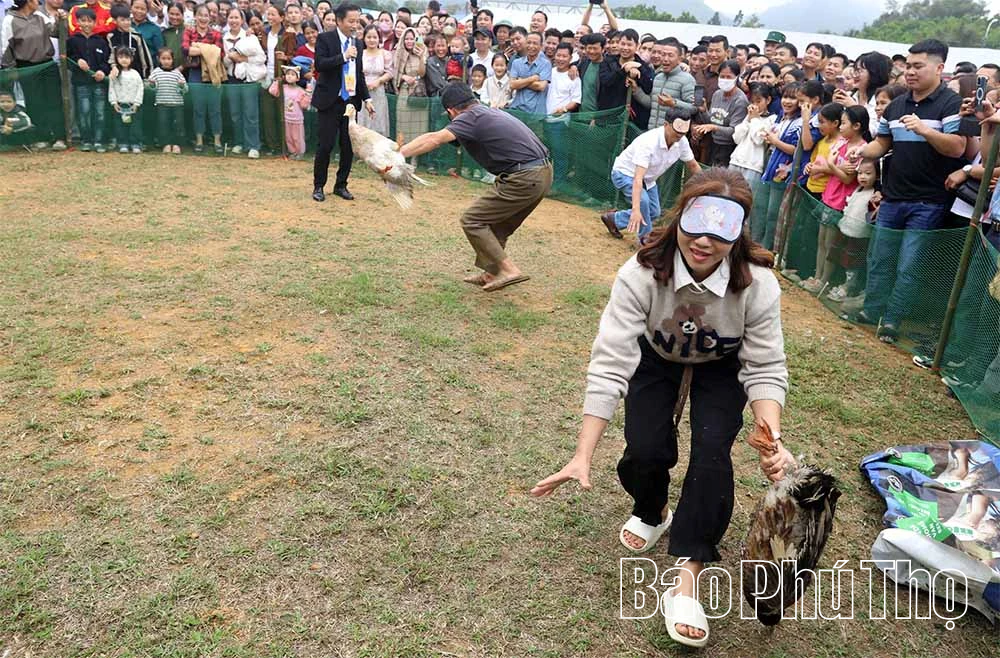 Khai mạc Phiên chợ vùng cao phường Kỳ Sơn - Xuân Bính Ngọ 2026