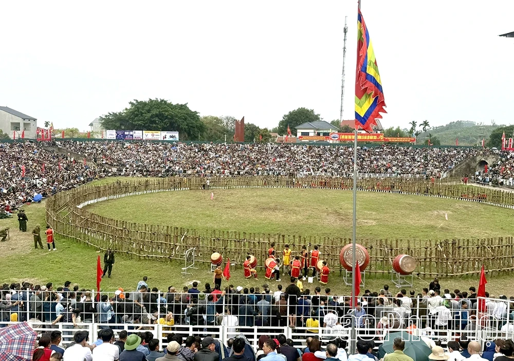 Khai mạc Lễ hội chọi trâu Hải Lựu Xuân Bính Ngọ 2026