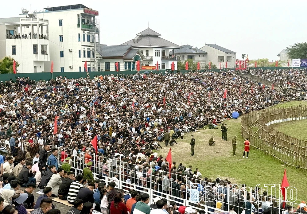 Khai mạc Lễ hội chọi trâu Hải Lựu Xuân Bính Ngọ 2026