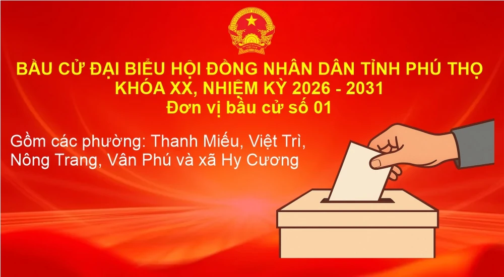 Đơn vị bầu cử số 01