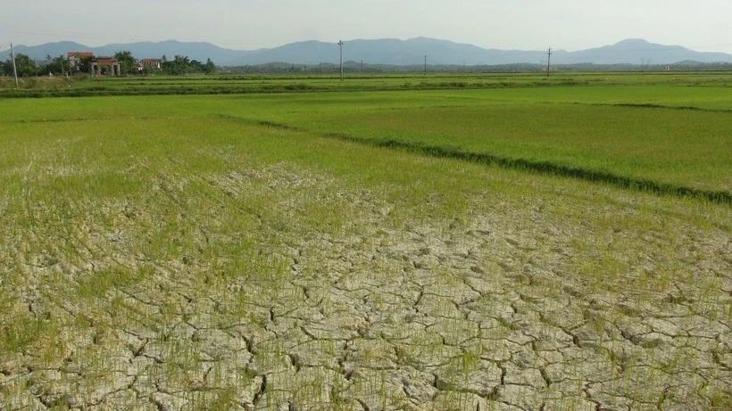 Cảnh báo tốc độ nóng lên toàn cầu tăng gần gấp đôi