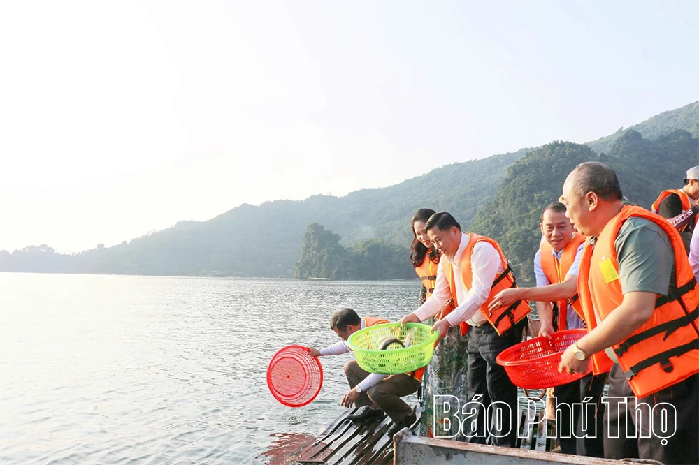 Nông nghiệp xanh - Hướng đi nâng tầm giá trị nông sản