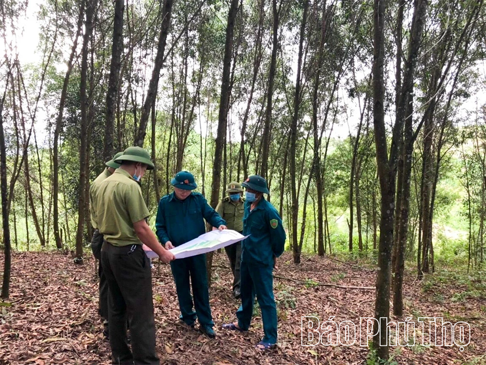 Nông nghiệp xanh - Hướng đi nâng tầm giá trị nông sản