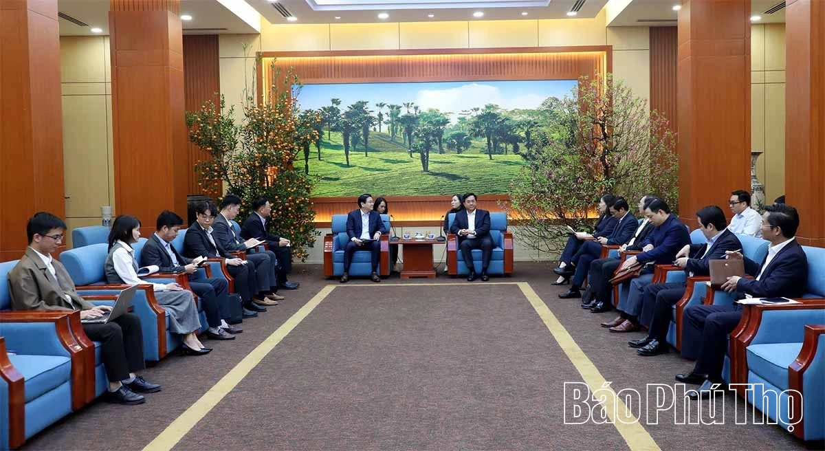 Chủ tịch UBND tỉnh Trần Duy Đông tiếp và làm việc với Công ty TNHH Imarket Việt Nam