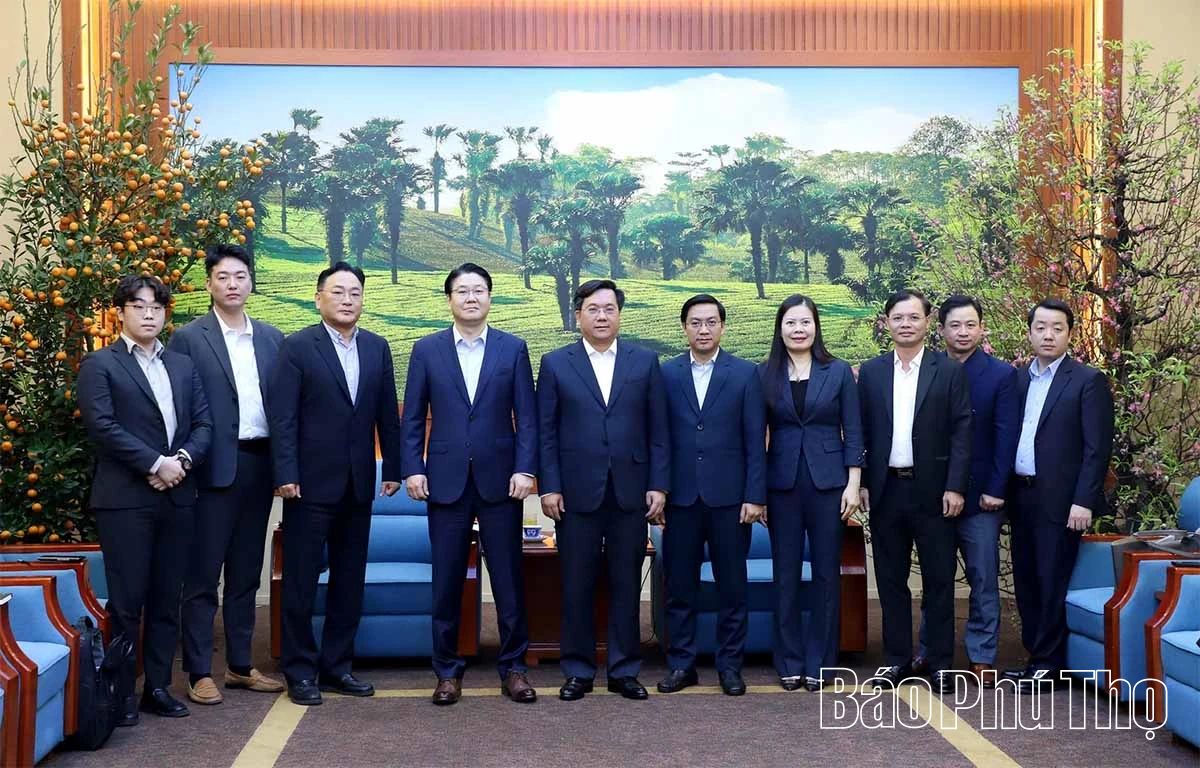 Chủ tịch UBND tỉnh Trần Duy Đông tiếp và làm việc với Công ty TNHH Imarket Việt Nam