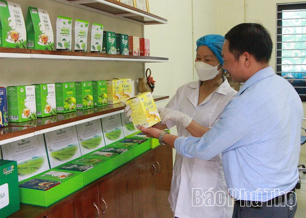 Đào Xá bứt phá phát triển