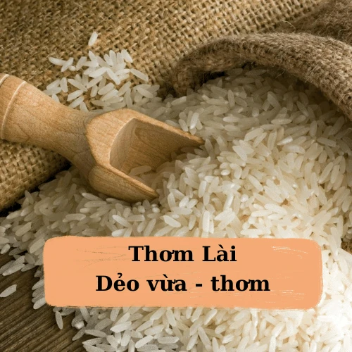 Giá cả thị trường ngày 3/3/2026