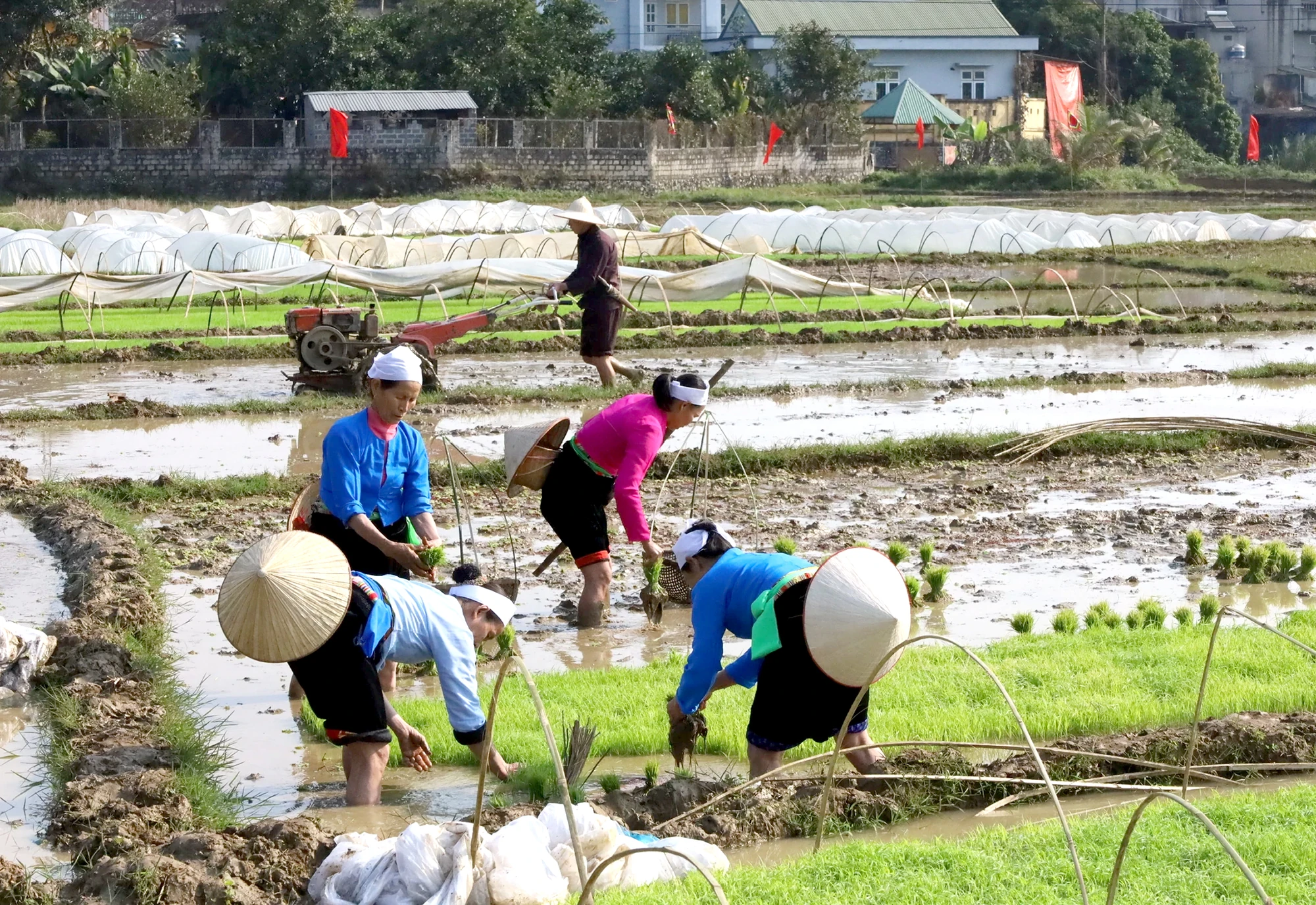 Độc đáo lễ hội Khai hạ Mường Vang