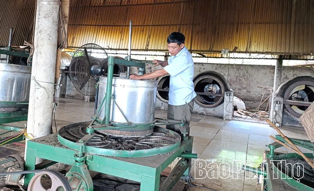 Sản xuất an toàn sinh học - Hướng đi bền vững cho ngành chè
