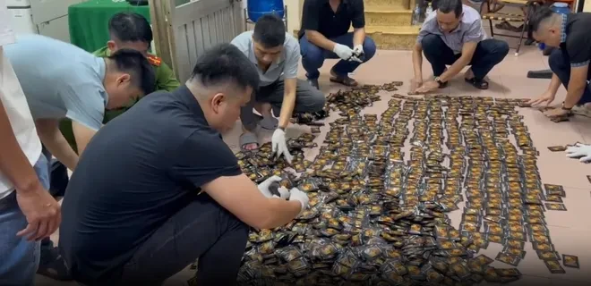 Nước vui, 