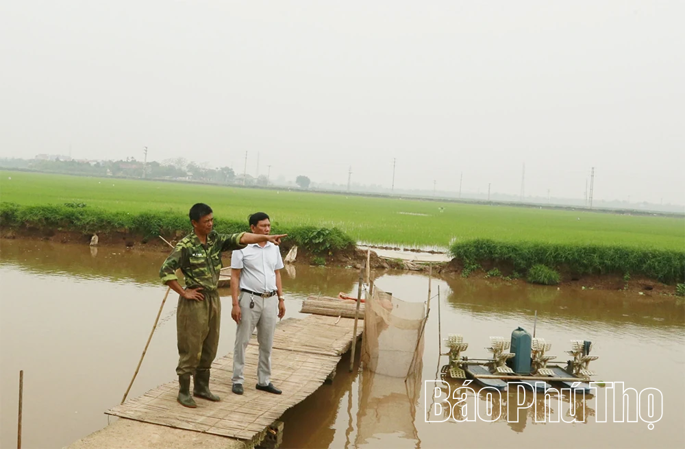 Trân phẩm đồng Nung