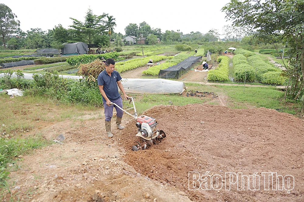 Hội Nông dân xã Tam Dương phát động phong trào thi đua sản xuất ngay từ đầu năm