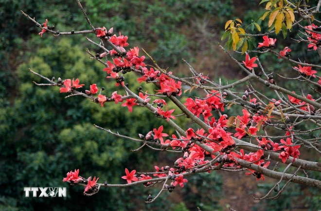 Những điểm đến đẹp nhất Việt Nam vào tháng Ba