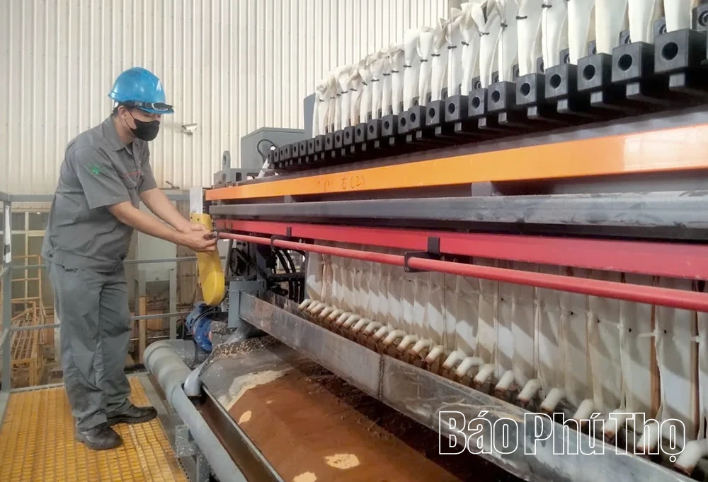 Diamond thân thiện với môi trường để phát triển bền vững