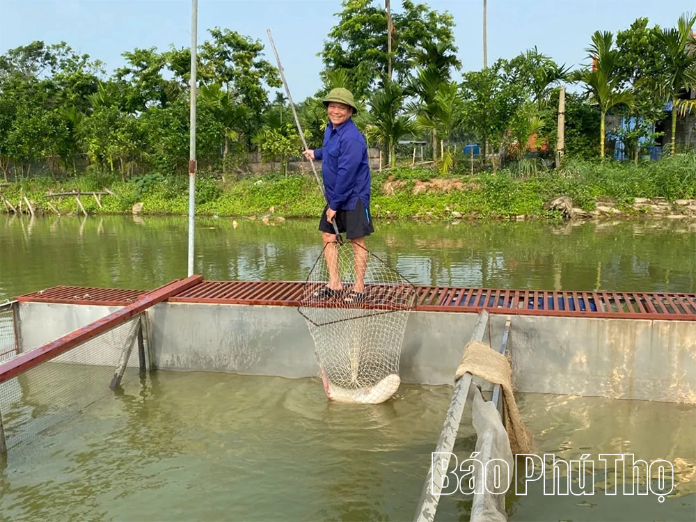 Phát triển kinh tế hộ ở Tề Lỗ