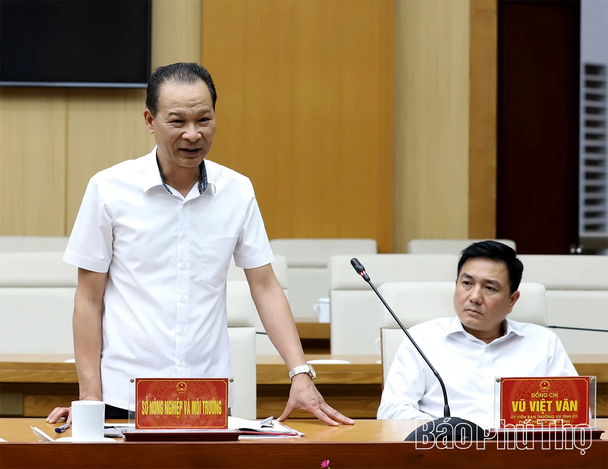 Đẩy nhanh tiến độ giải phóng mặt bằng, hoàn thiện điều chỉnh quy hoạch dự án Khu nhà ở đô thị Tiên Cát