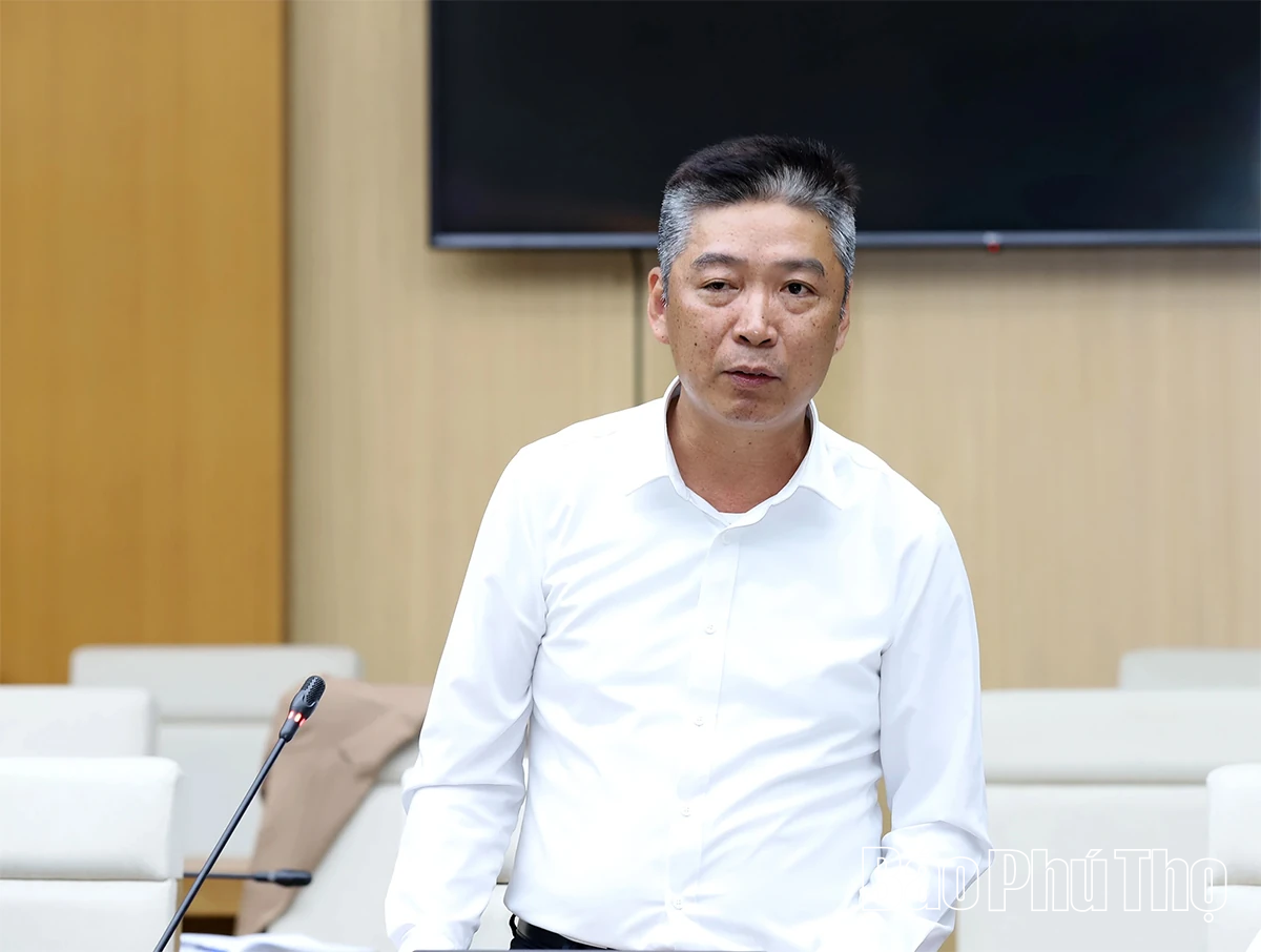 Đẩy nhanh tiến độ giải phóng mặt bằng, hoàn thiện điều chỉnh quy hoạch dự án Khu nhà ở đô thị Tiên Cát