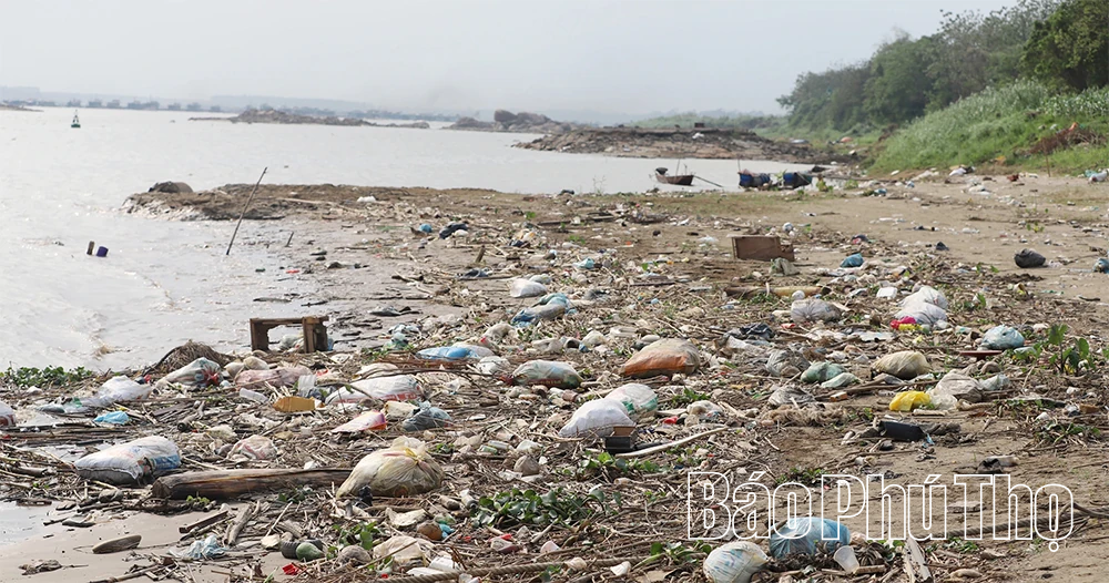Cảnh báo tình trạng đổ chất thải bừa bãi ra sông Hồng