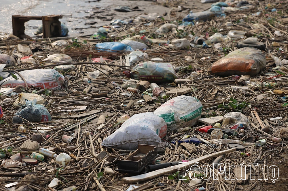 Cảnh báo tình trạng đổ chất thải bừa bãi ra sông Hồng