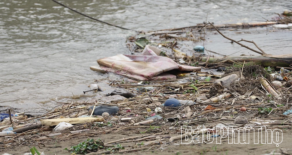 Cảnh báo tình trạng đổ chất thải bừa bãi ra sông Hồng