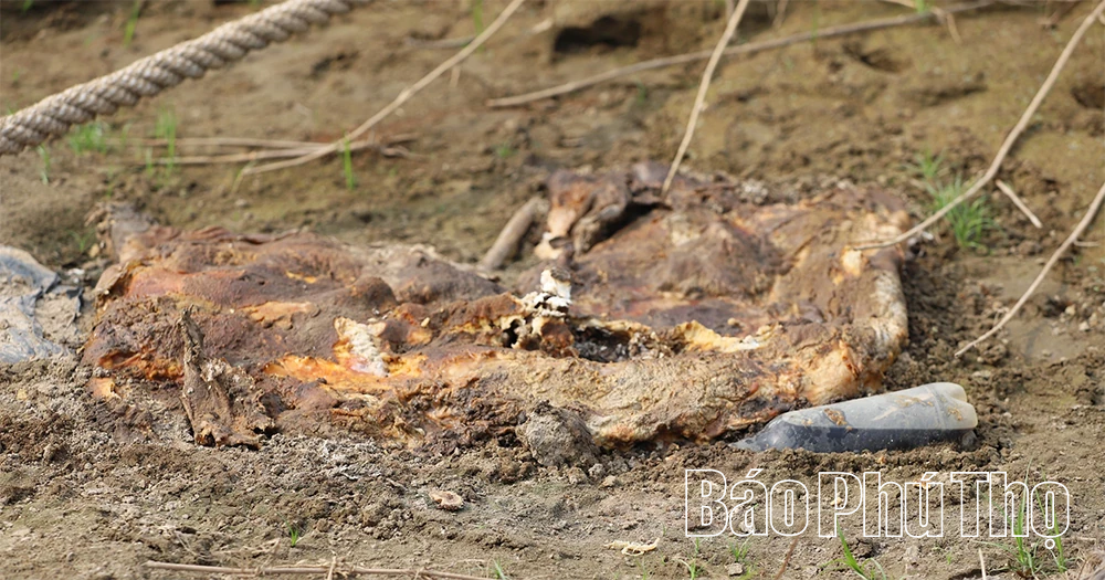 Cảnh báo tình trạng đổ chất thải bừa bãi ra sông Hồng