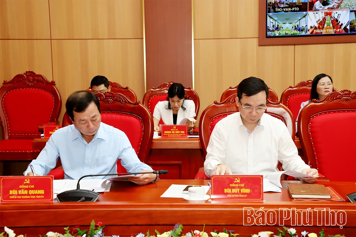 Triển khai quyết định, kế hoạch giám sát chuyên đề của Ban Thường vụ Tỉnh ủy