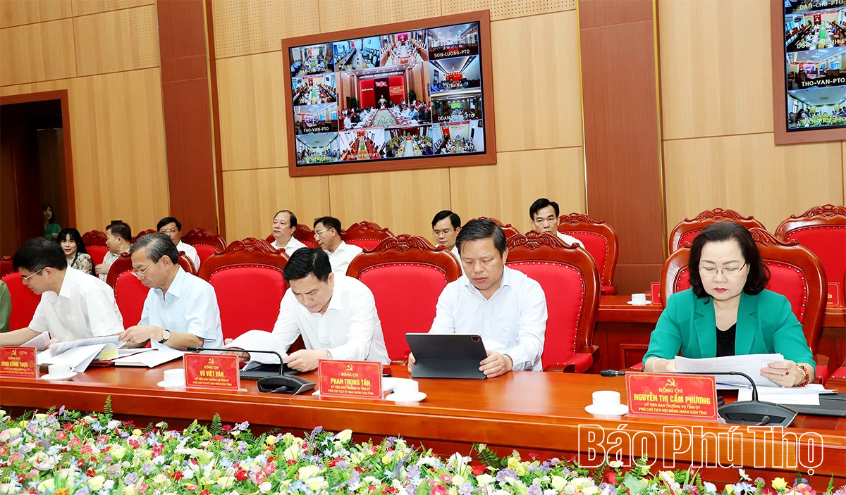 Triển khai quyết định, kế hoạch giám sát chuyên đề của Ban Thường vụ Tỉnh ủy