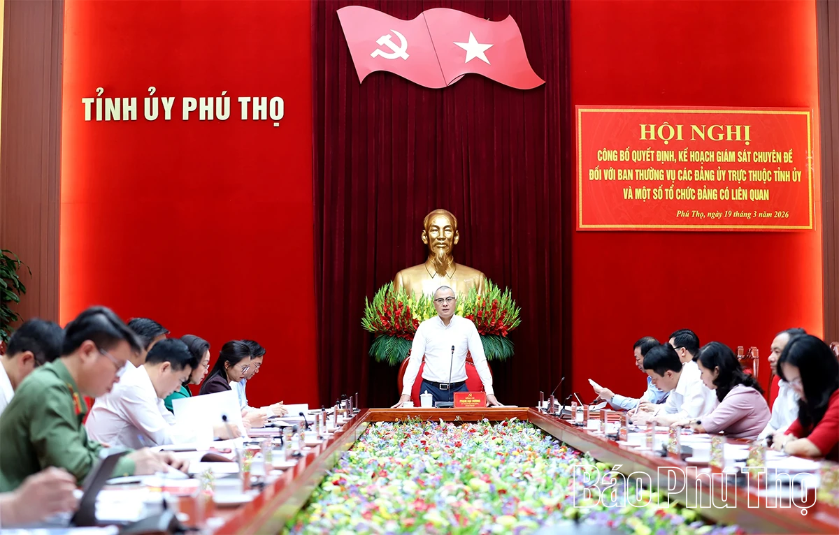 Triển khai quyết định, kế hoạch giám sát chuyên đề của Ban Thường vụ Tỉnh ủy