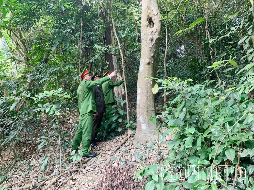 Công an xã Hy Cương chủ động bảo đảm an ninh, an toàn các lễ hội đầu xuân