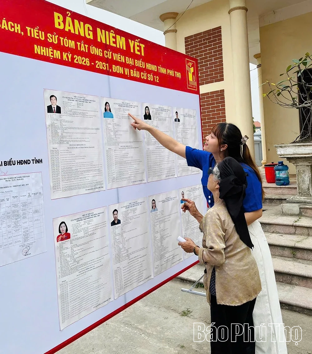 Tuổi trẻ Yên Lạc xung kích, tình nguyện vì cuộc sống cộng đồng