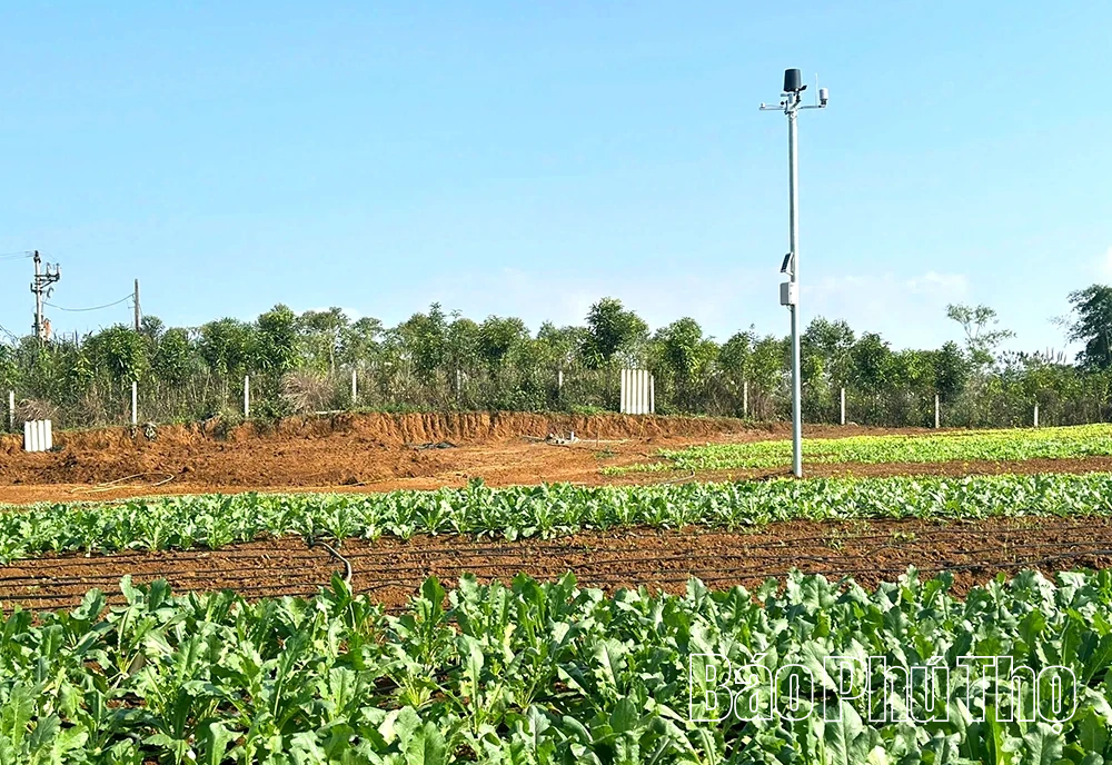 Ứng dụng khoa học kỹ thuật vào sản xuất, nâng tầm nông sản