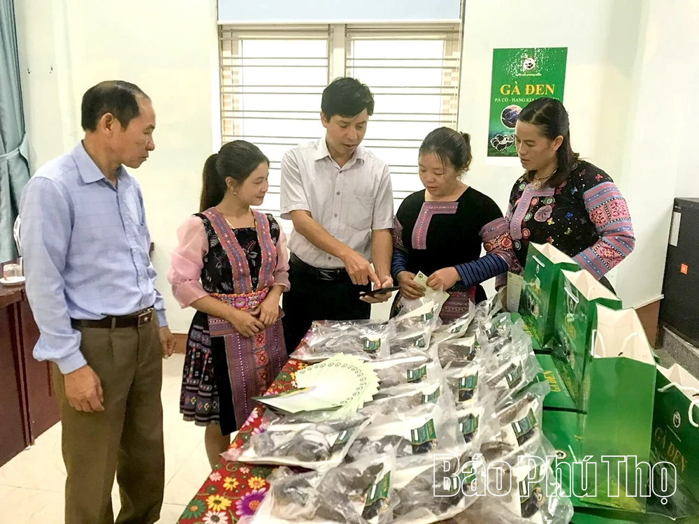 Ứng dụng khoa học kỹ thuật vào sản xuất, nâng tầm nông sản