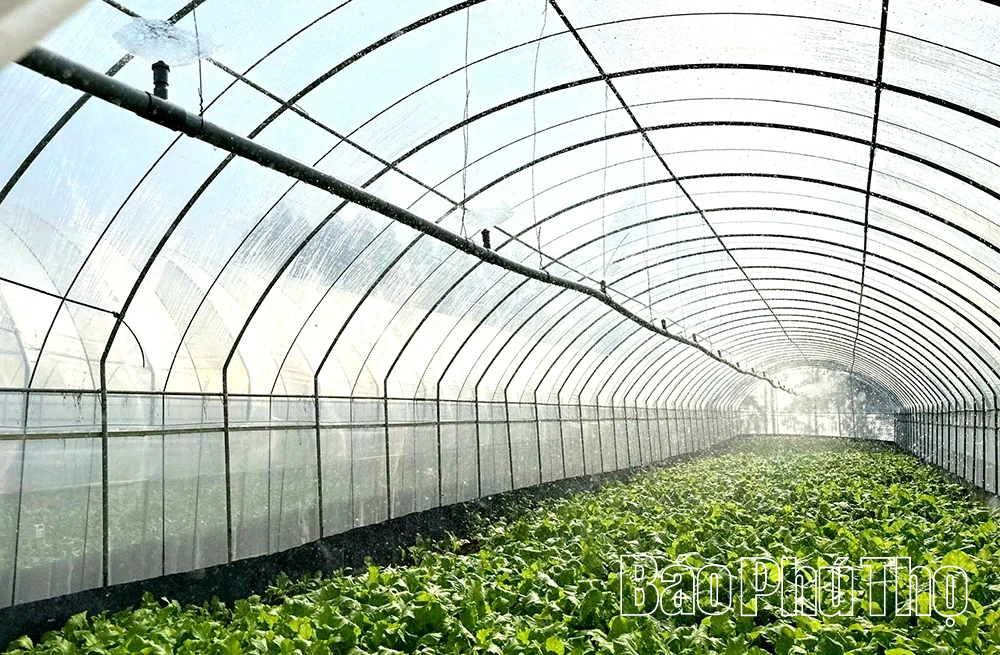 Ứng dụng khoa học kỹ thuật vào sản xuất, nâng tầm nông sản